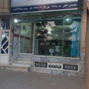 photo_2025-09-13_01-08-33